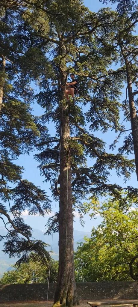 Grimpe Cèdre Montbonnot-Saint-Martin